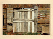 Shed Door