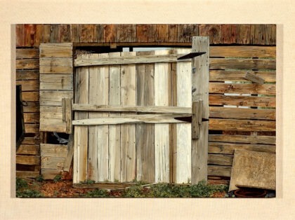 Shed Door