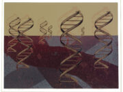 The Dance of the Double Helix