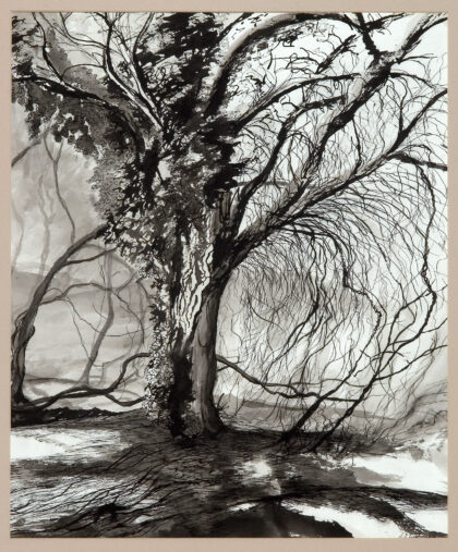 Untitled (Tree with Vines)