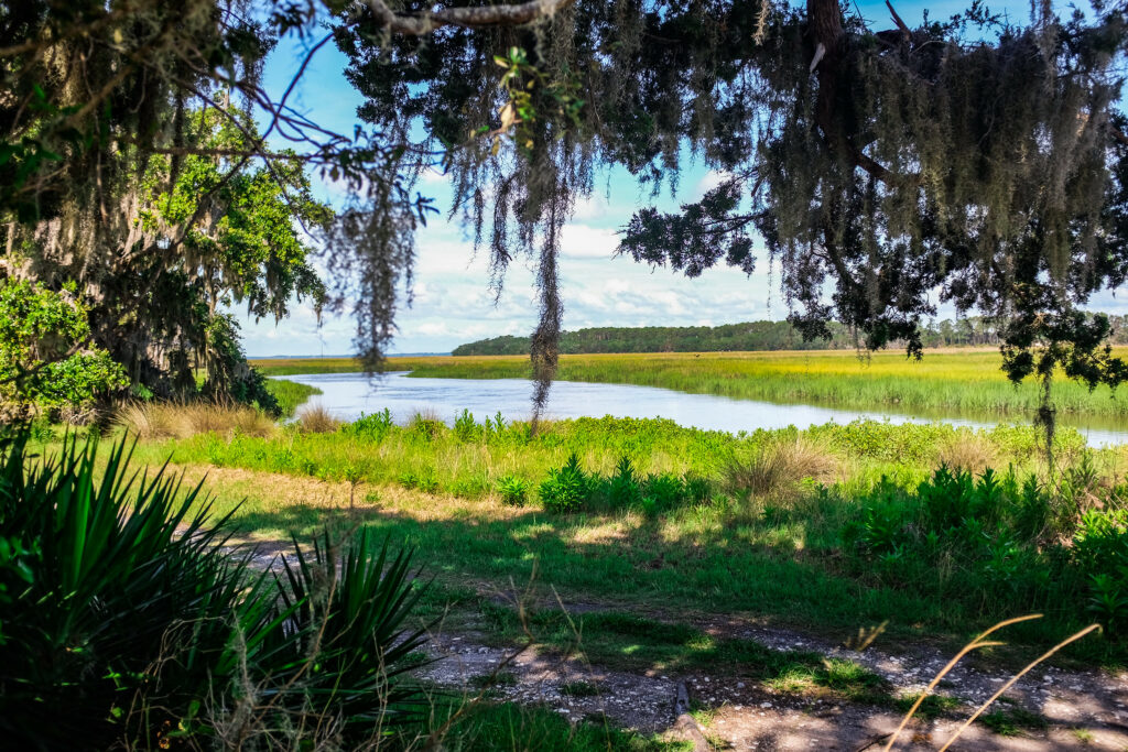 Sapelo Island