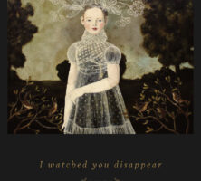 Color image of the book jacket for Anya Silver's poetry collection, I Watched You Disappear