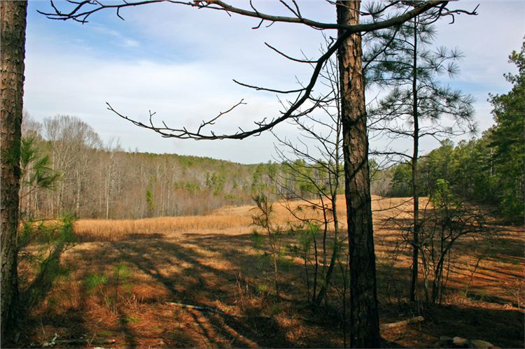 Pickett’s Mill Battlefield Area