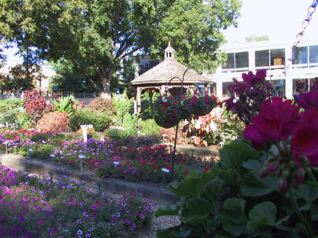 Betty Johnson Horticulture Garden