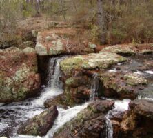 Broxton Rocks Ecological Preserve