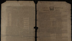Nineteenth-Century Georgia Newspapers