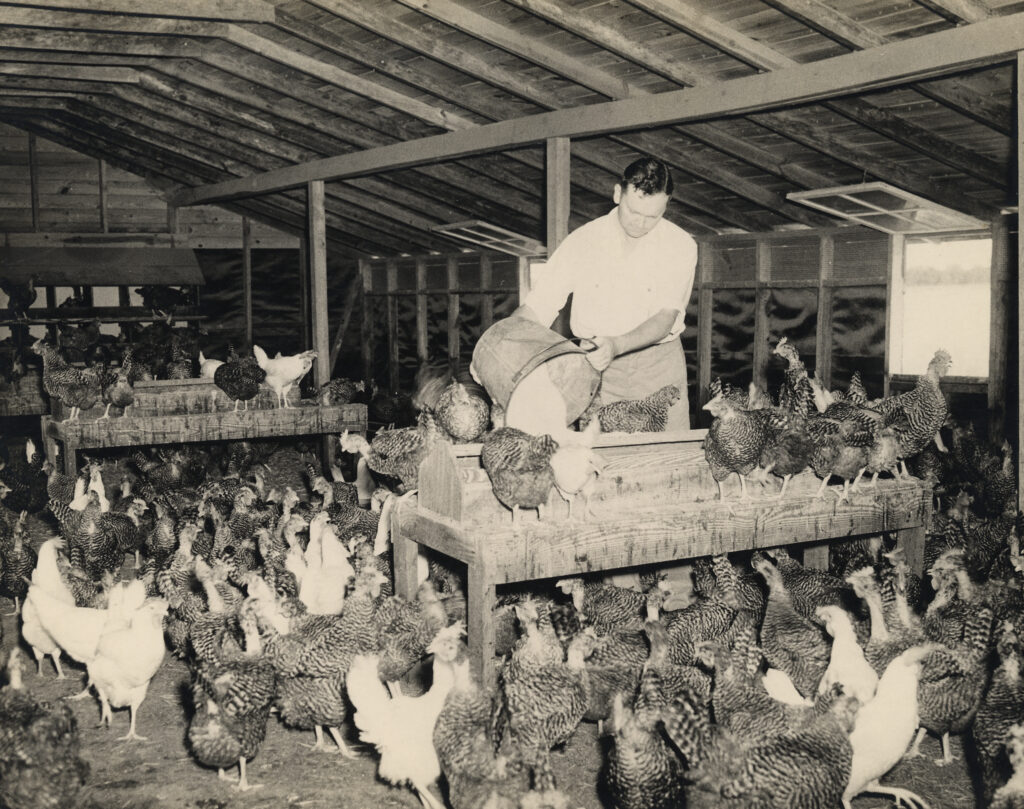 Clarence Jordan in Chicken House