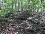 Confederate Earthwork