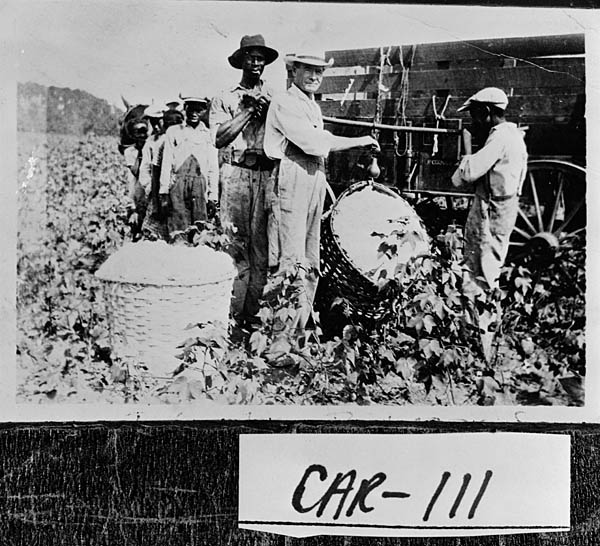 Weighing Cotton, 1939-40