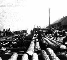 Darien Lumber Mill, ca. 1900
