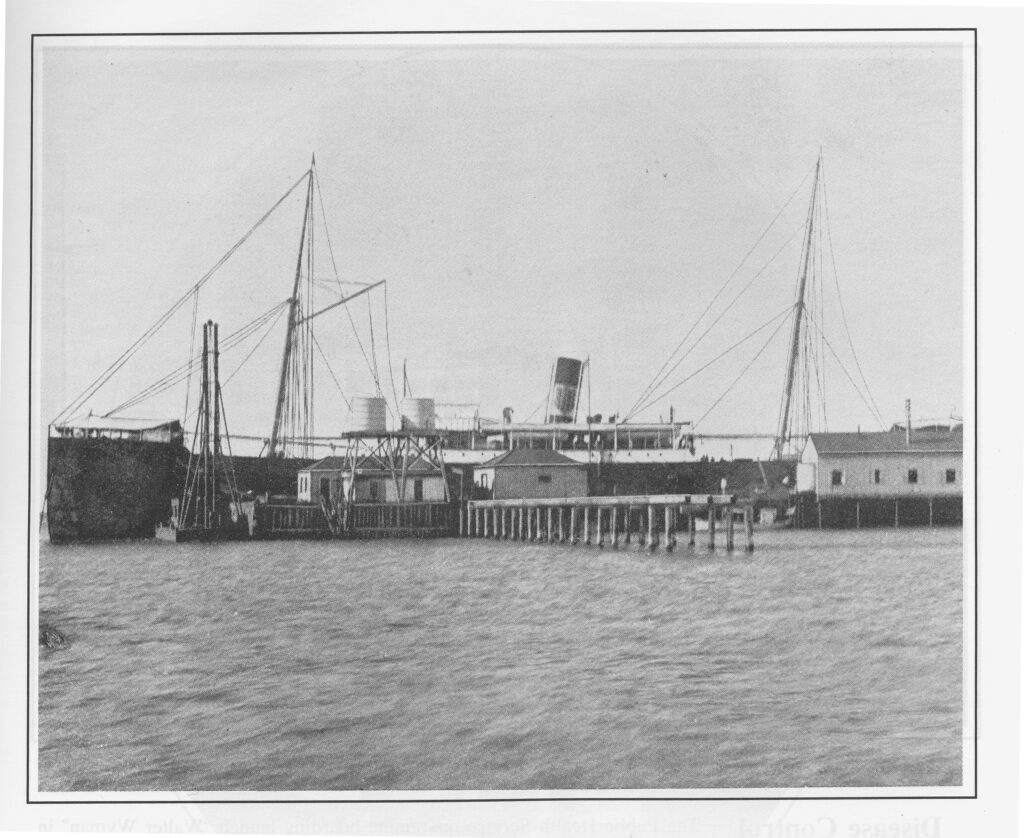 Disinfecting Wharves on Blackbeard Island