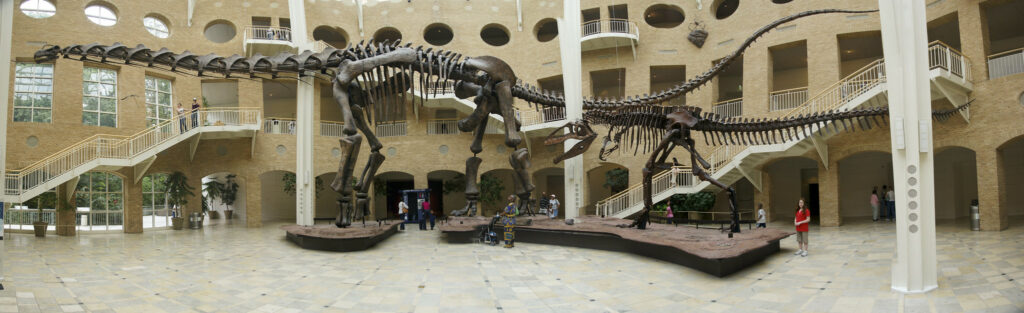 Dinosaur Exhibition at Fernbank