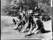 Gold Panning