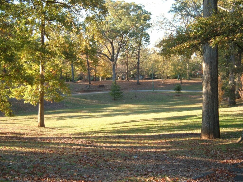 Color photograph of trees in Atlanta's Grant Park