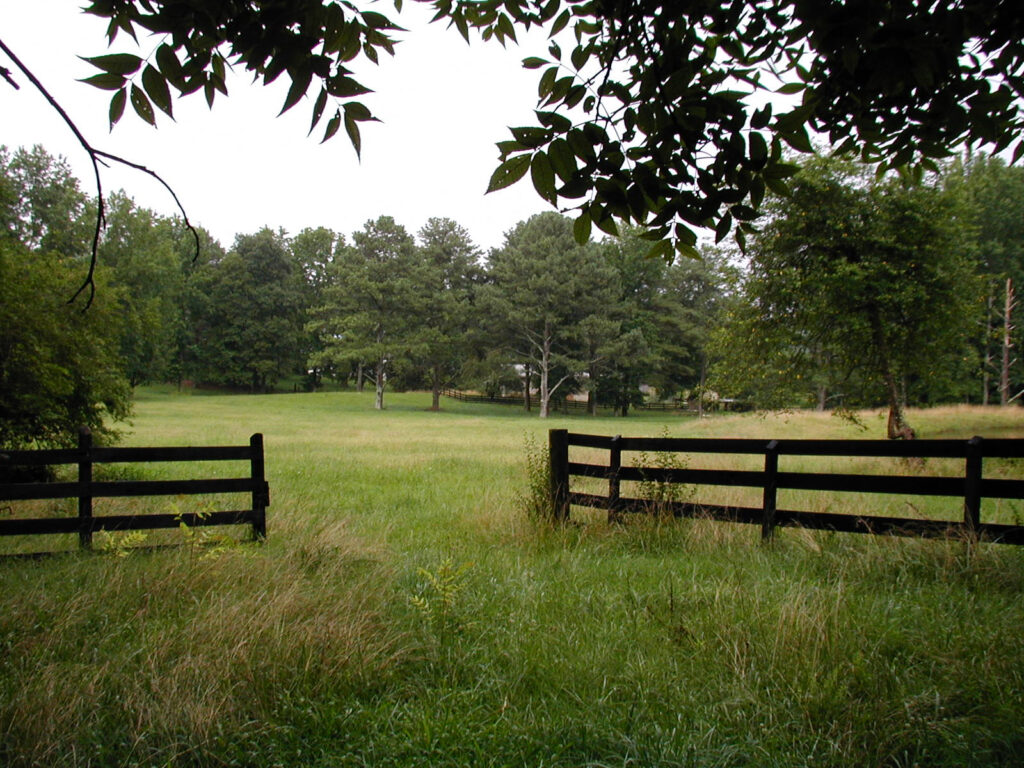 Former Pasture