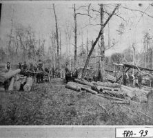 Logging Camp, Franklin County