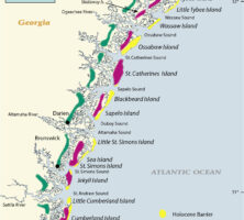 Lower Coastal Plain Map