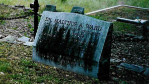 Malthus Ward