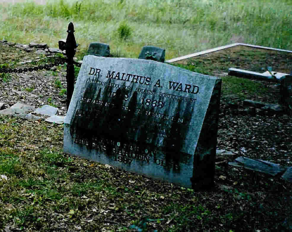 Malthus Ward Grave site