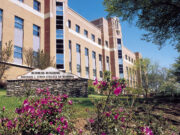 Michael J. Coles College of Business