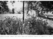 Moina Michael plants Poppies on the University of Georgia campus