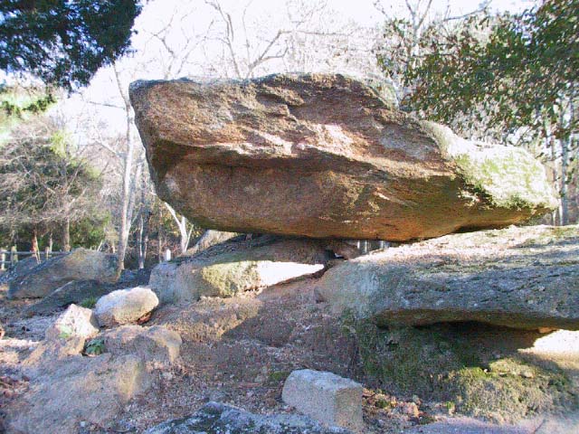 Granite Outcrop at Panola Mountain