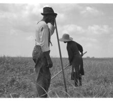 Sharecroppers, Greene County