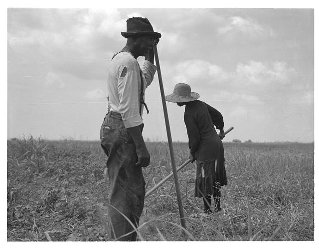 Sharecroppers, Greene County