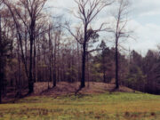 Singer-Moye Mounds