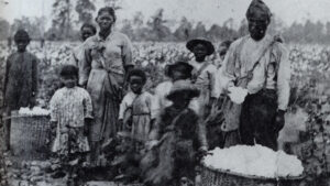 Slavery in Antebellum Georgia