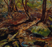 Stream in Wooded Landscape
