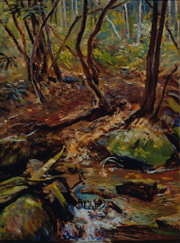 Stream in Wooded Landscape