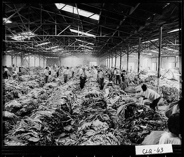 Tobacco Warehouse
