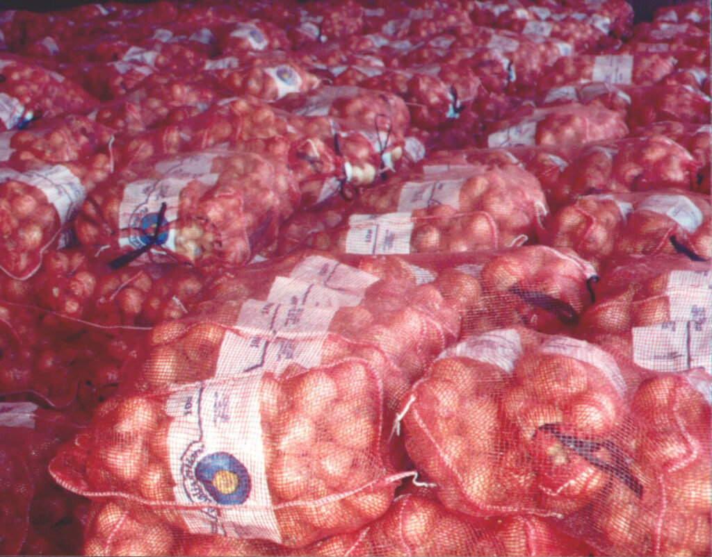Vidalia Onions