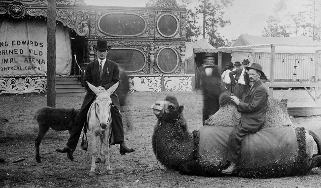 Circus Animals, Sea Island