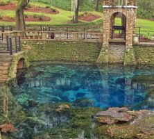 Radium Springs, one of Georgia's Seven Natural Wonders, is depicted, showcasing its crystal clear water and surrounding pathways walkways.